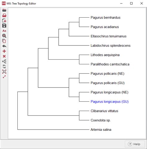 mega phylogenetic tree|mega phylogenetic tree software.